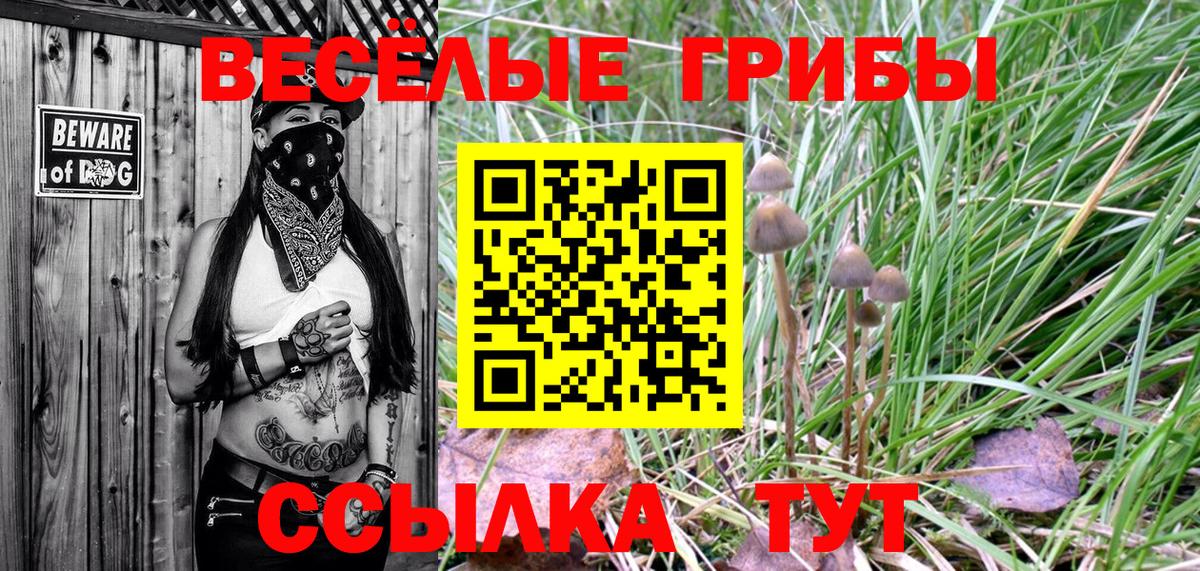 Галлюциногенные грибы GOLDEN TEACHER Буйнакск